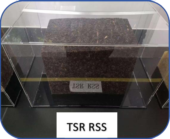 TSR RSS